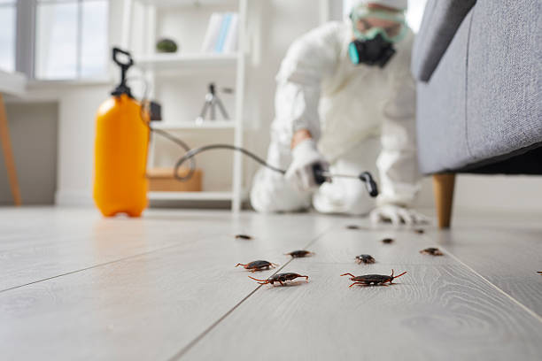 Commercial Rodent Management in Dubach